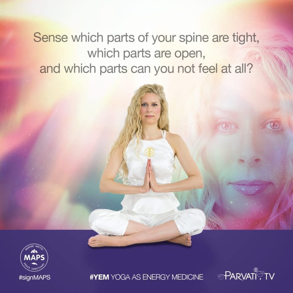 Parvati YEM Fri sense which parts of your spine_sq