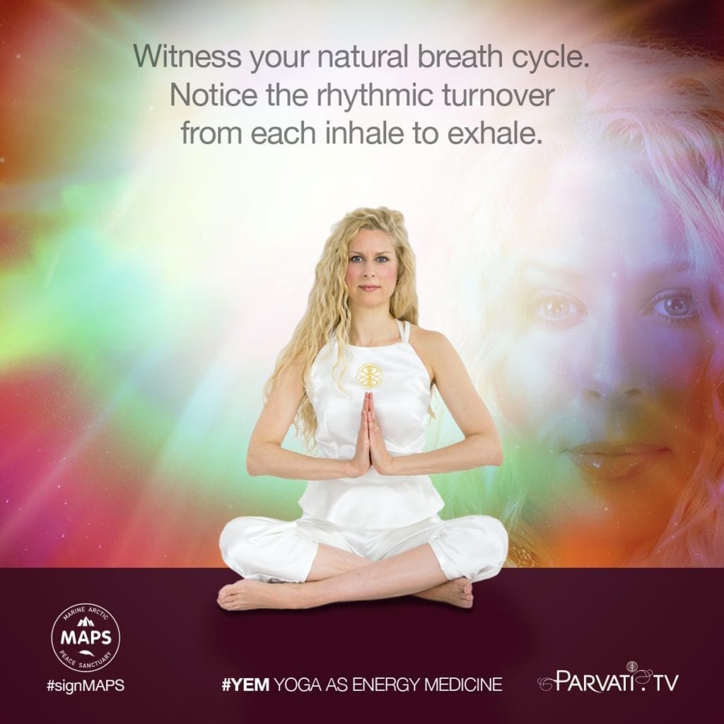 Parvati YEM Sun_witness your natural breath cycle