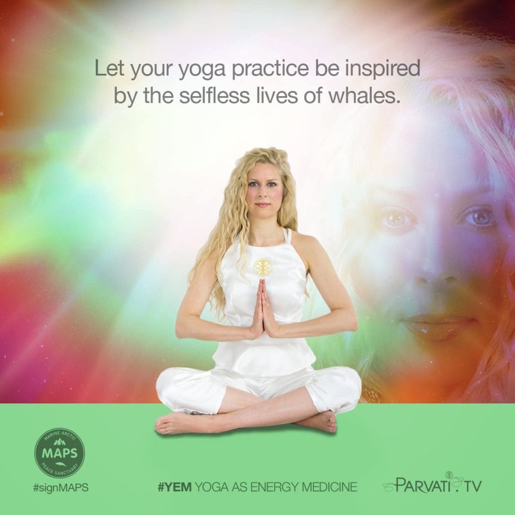 Parvati Yem WEDNESDAY let your yoga practice_sq