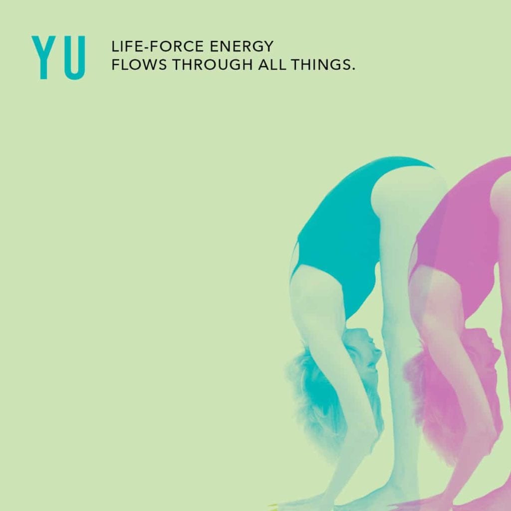 Parvati yem life force energy flows all things