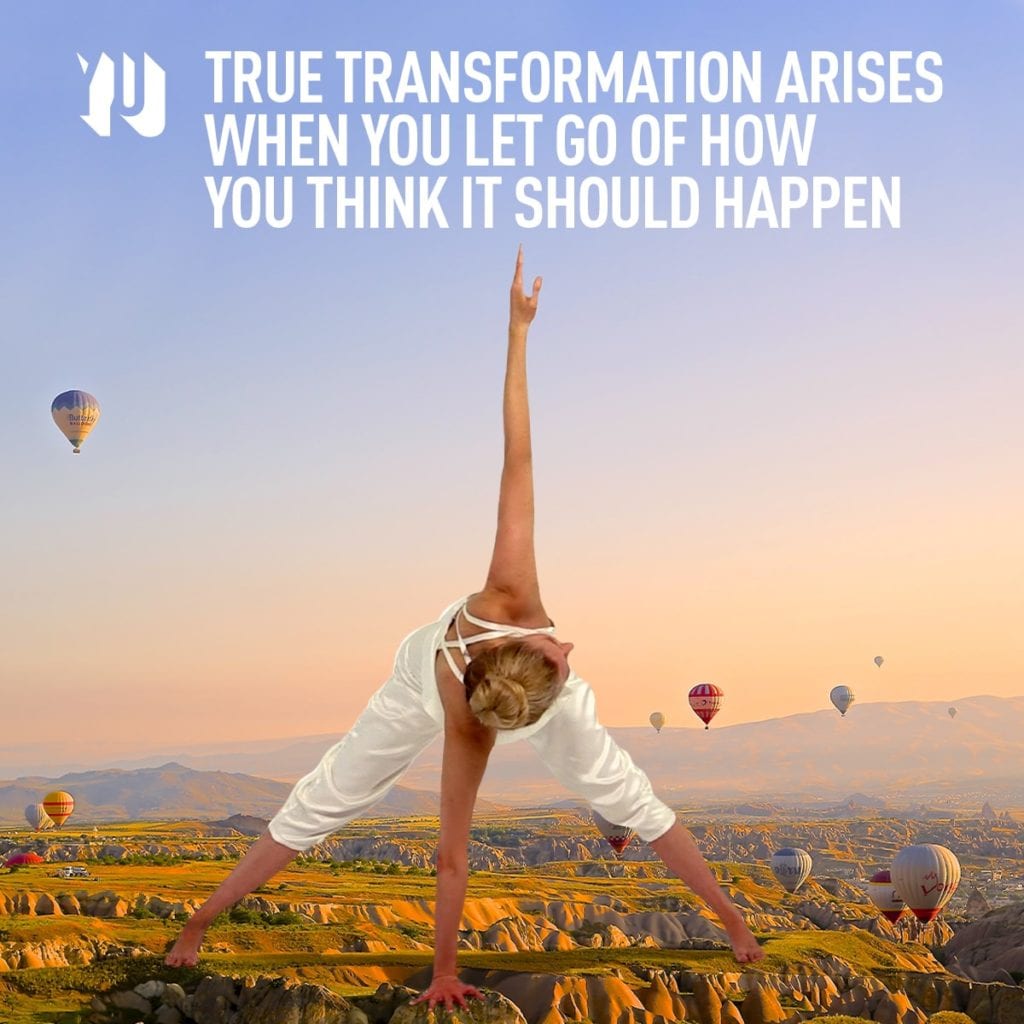 Parvati_YEM_Yoga as Energy Medicine_True Transformation